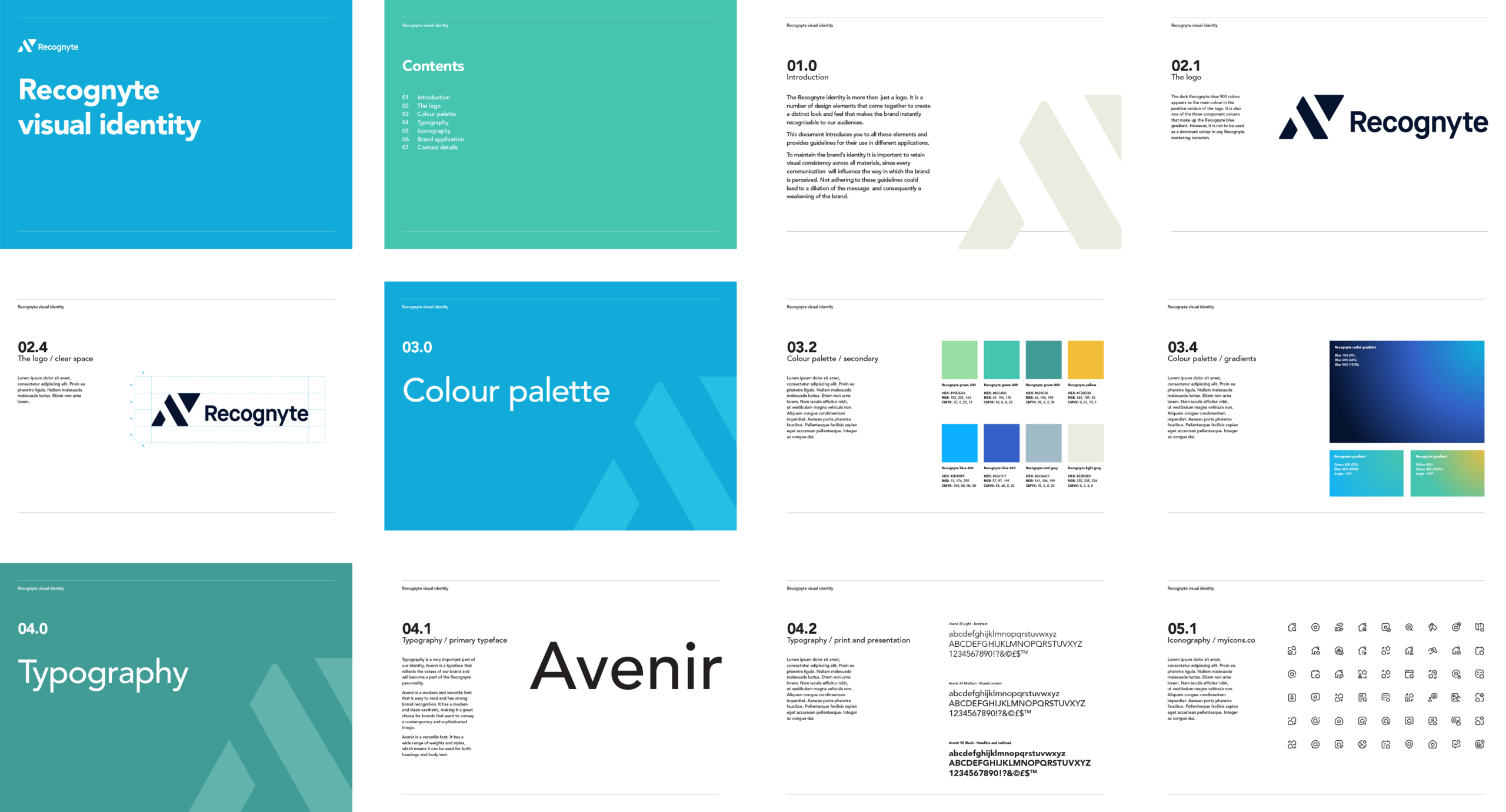 Recognyte Brand Guidelines